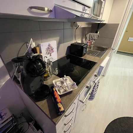 Arctic Penthouse Studio With Free Parking And High-Speed Wi-Fi Rovaniemi Zewnętrze zdjęcie