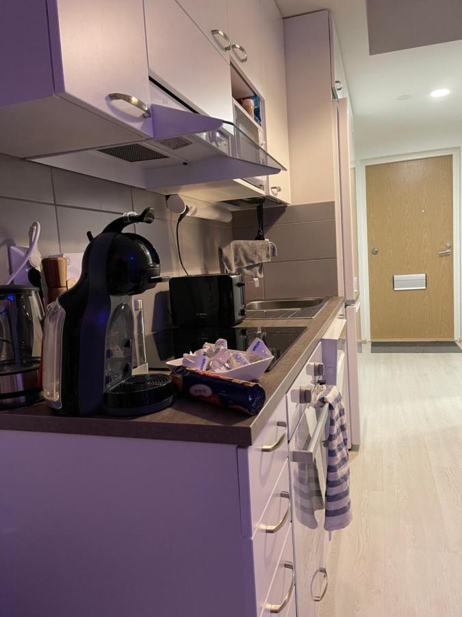 Arctic Penthouse Studio With Free Parking And High-Speed Wi-Fi Rovaniemi Zewnętrze zdjęcie